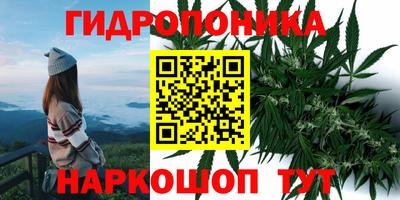 не бодяженный Лесосибирск